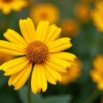 Fleurs jaunes : guide complet pour sélectionner et entretenir les variétés idéales de votre jardin
